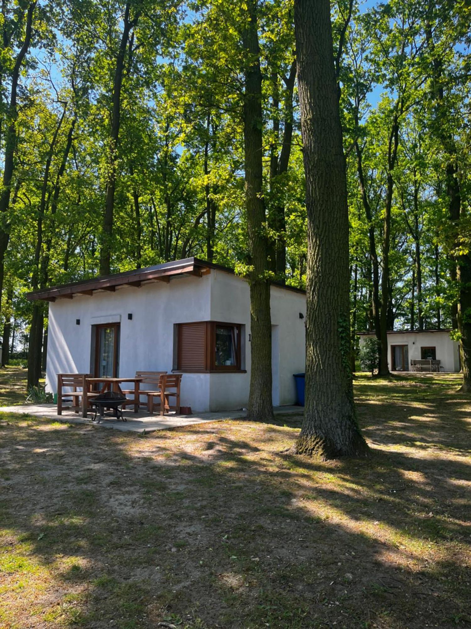 Domki Pod Debami Mojecice Exteriör bild