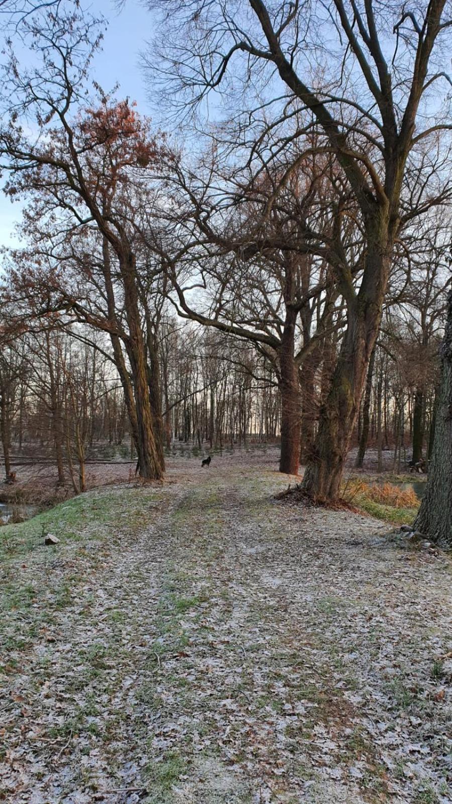 Domki Pod Debami Mojecice Exteriör bild